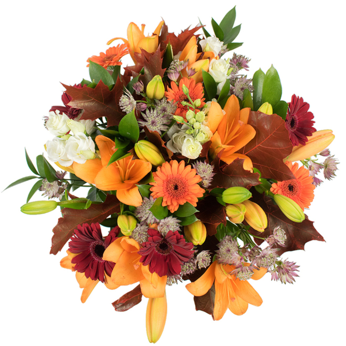 A generous, professionally arranged autumn bouquet pictured from a slightly elevated viewpoint on a stark white background, the kind of composition we lovingly prepare at Flowers Tooting for neighbours across Tooting and nearby Balham. Several large, fully opened orange Asiatic lilies form the visual anchor, their trumpet petals unfurling with graceful curves and subtle freckles of colour. Close by, many small, tightly closed buds in green and soft apricot promise continuing bloom, giving the arrangement a sense of unfolding time. Vivid Gerbera daisies in bright orange and deep burgundy-red punctuate the massed flowers with bold, cheerful centres, while creamy white lisianthus (or similar ruffled blooms) offer gentle highlights and a velvety contrast to the stronger tones. Scattered clusters of delicate Astrantia in muted purple and lavender add a unique, starry texture that lifts the composition and invites touch. The palette is grounded by striking broad, lobed leaves in warm reddish-brown reminiscent of oak or maple, placed to evoke freshly fallen autumn foliage and to enhance the seasonal narrative. Fresh green leaves and slender stems weave through the bouquet, providing supportive structure and a lively counterpoint to the richer shades. The overall effect is lush, full, and tactile: satiny petals, papery leaf edges, and the airy filigree of filler flowers combine to create a bouquet that feels both celebratory and quietly rustic. Bathed in clear studio light, the colours sing against white and the design reads as an ideal choice for Thanksgiving centrepieces, autumn birthdays, or a heartfelt seasonal gesture for friends across Tooting Bec and Upper Tooting.
