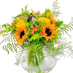 At first glance, this luminous bouquet brings to mind the gentle, golden sunlight that filters through Tooting's tree-lined avenues during late summer. Towering sunflowers with their bold yellow-orange petals and distinctive chocolate-hued centers are the stars of the display, capturing an infectious sense of happiness and new beginnings. They are artfully complemented by lush, spiral-formed yellow garden roses, which add both elegance and fullness-perfect for commemorating life's special milestones in Tooting. Among them, shiny red Hypericum berries glimmer amid the greenery, introducing vibrant notes of red that dance across the composition, much like the stalls along Tooting Market. The abundant foliage-cascading fern, gently arching goldenrod, and slim green spikes-brings a fluid movement and depth, while the cool blue tones of eucalyptus leave a hint of modernity and calm. Set within a crystal-clear, round glass vase, the stems and lush green hues are magnified, showcasing the pristine craftsmanship typical of Flowers Tooting. Bathed in natural light, every petal and leaf seems to glow. This arrangement is an ideal choice for a bright living room in SW17 or as a heartfelt delivery marking a birthday, anniversary, or any moment that deserves the radiance of a joyful bouquet.